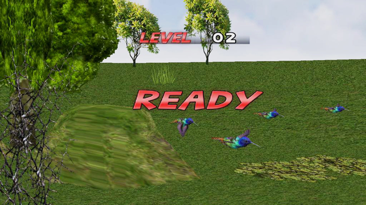 Bird Race 3D游戏截图