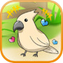 birdwatch ~healing-game~icon