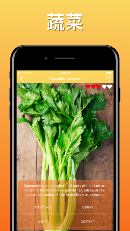 水果蔬菜浆果游戏截图