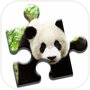 Panda Love Puzzleicon
