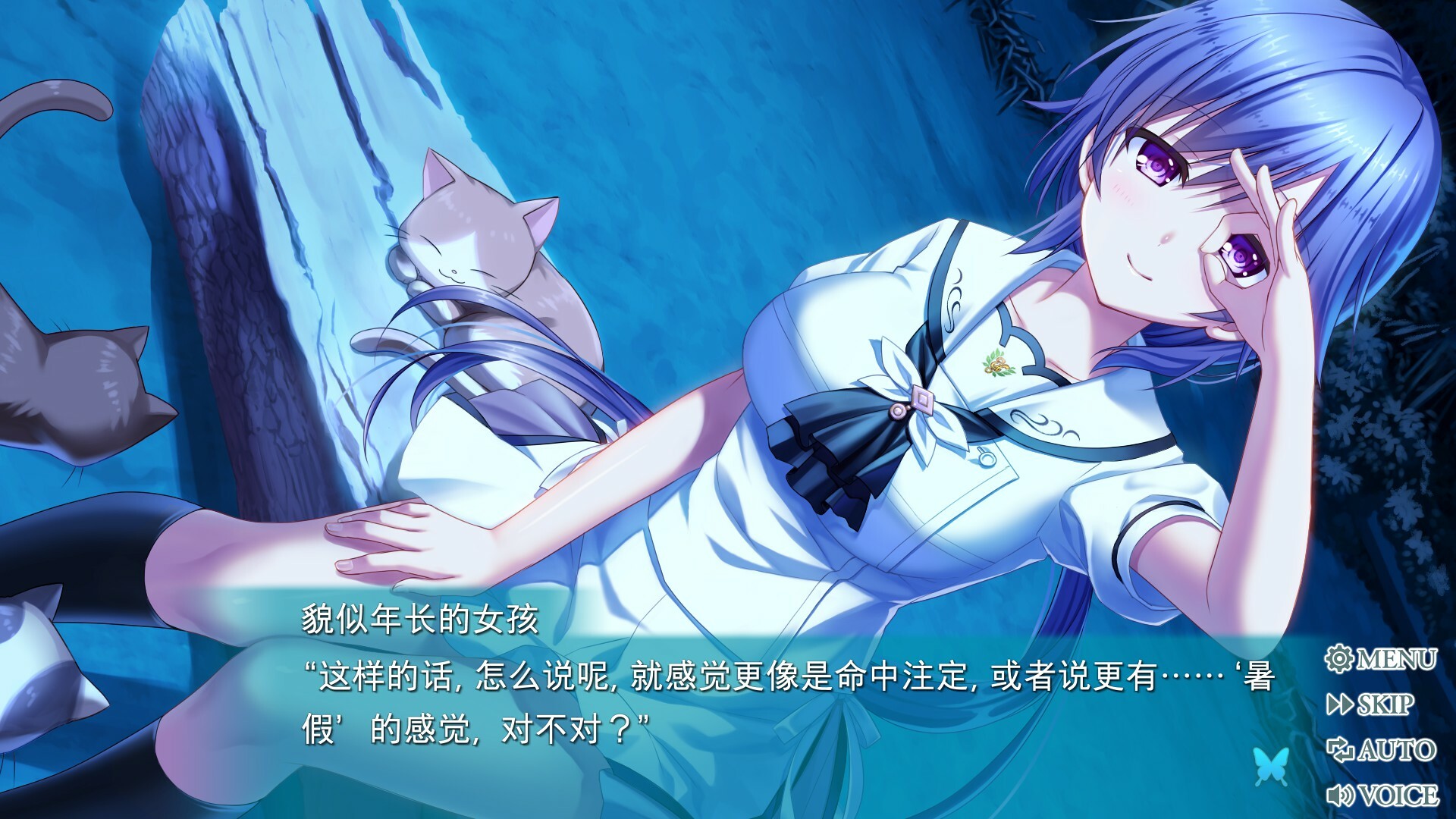 Summer Pockets REFLECTION BLUE游戏截图