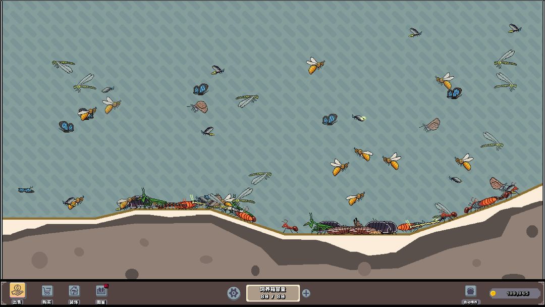 养虫模拟器游戏截图
