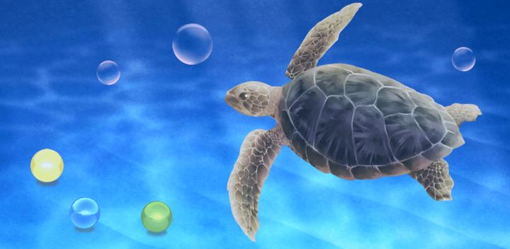 Aquarium Sea Turtle simulation游戏截图