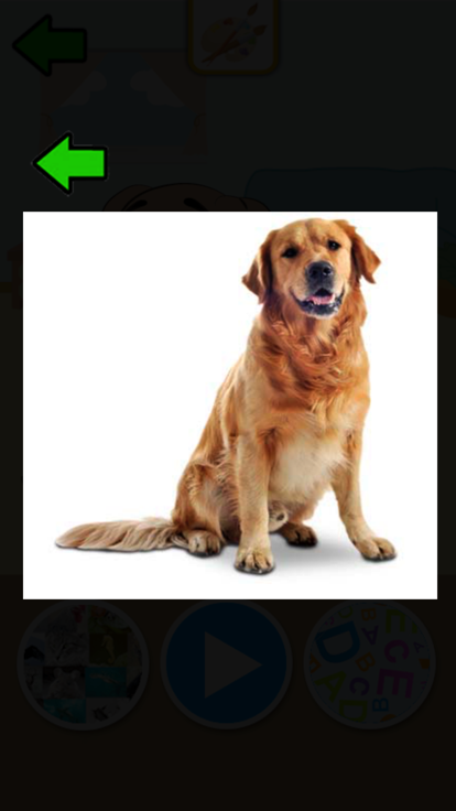 知道了动物游戏截图