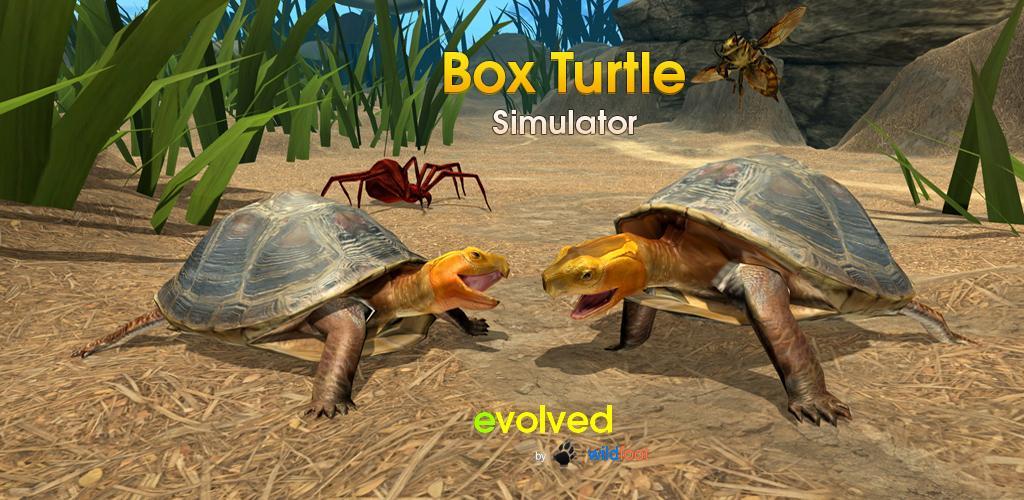 Box Turtle Simulator游戏截图