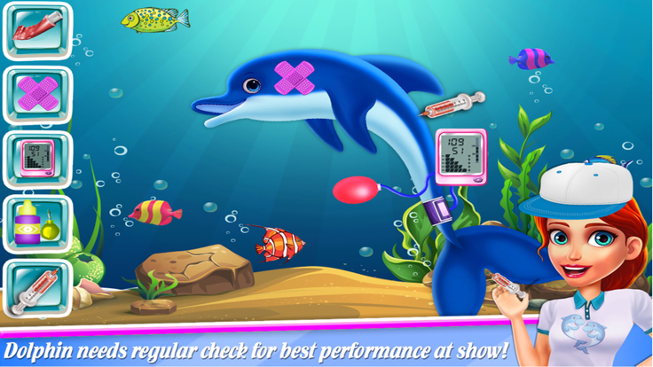 World Safari Dolphin Show游戏截图
