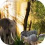丛林动物攻击大象模拟器游戏icon