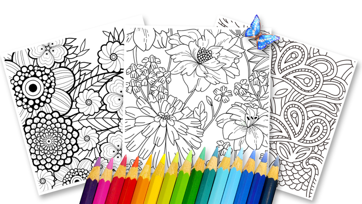 秘密花园成人手绘 - 画画涂色免费单机游戏 - 神马游戏游戏截图