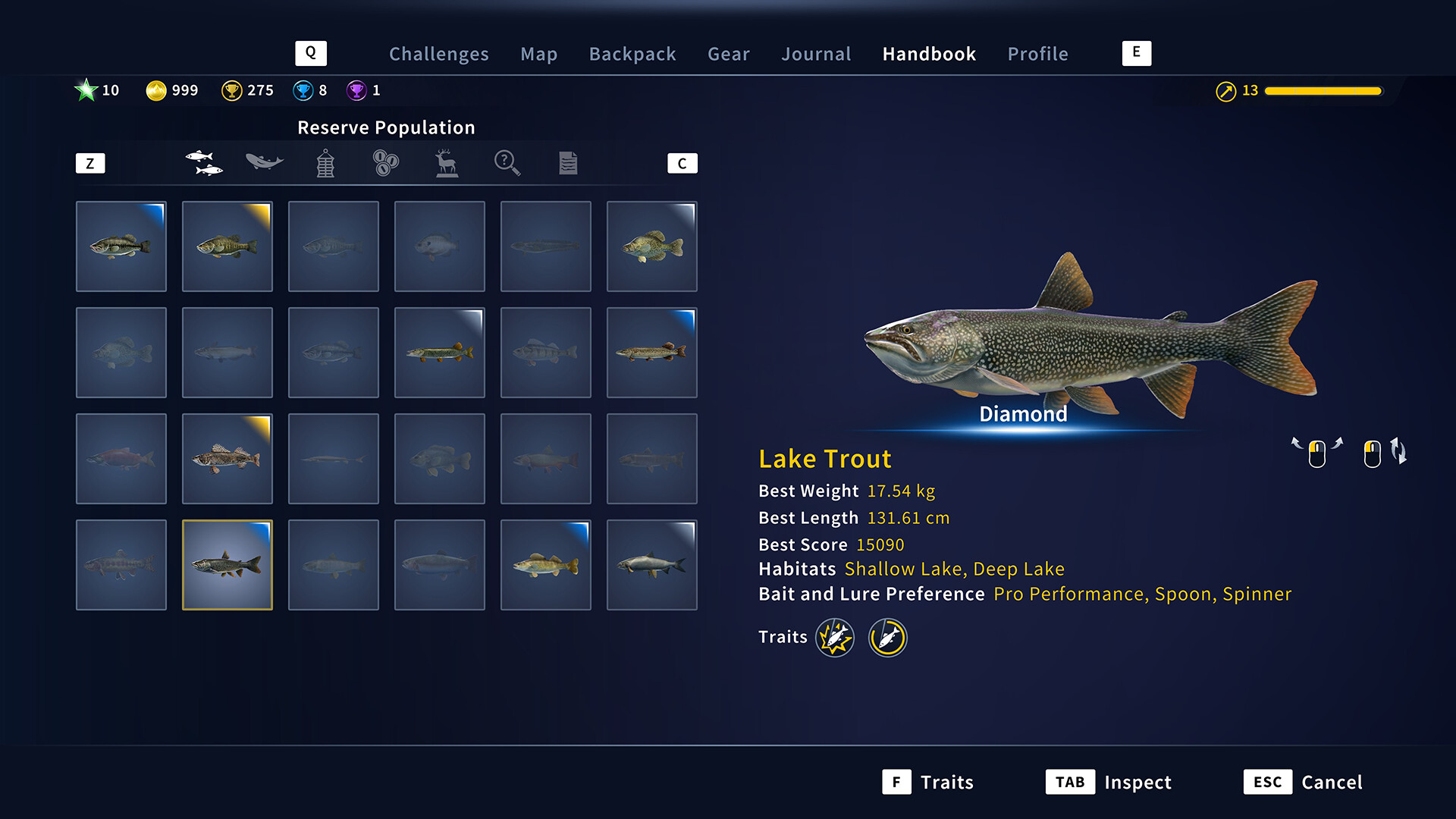 荒野的召唤:垂钓者™游戏截图