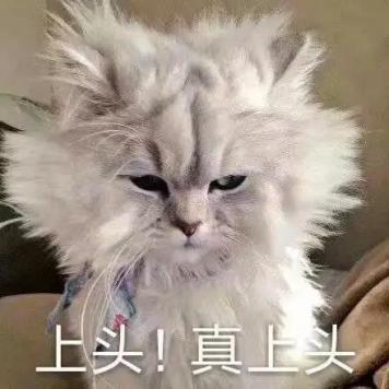 【庄园秘史】一不小心会“翻车”