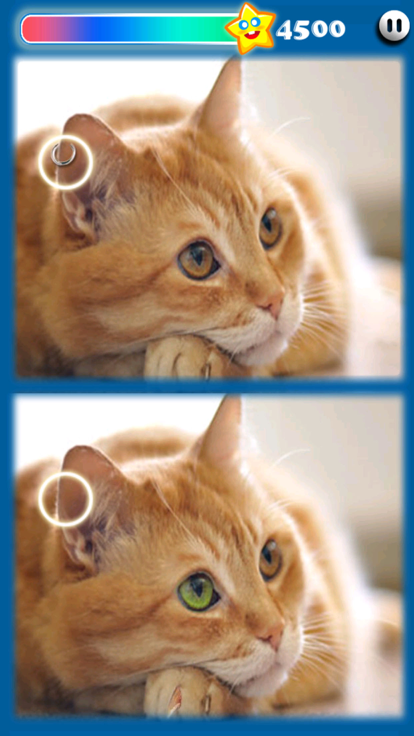 Photohut 2023游戏截图