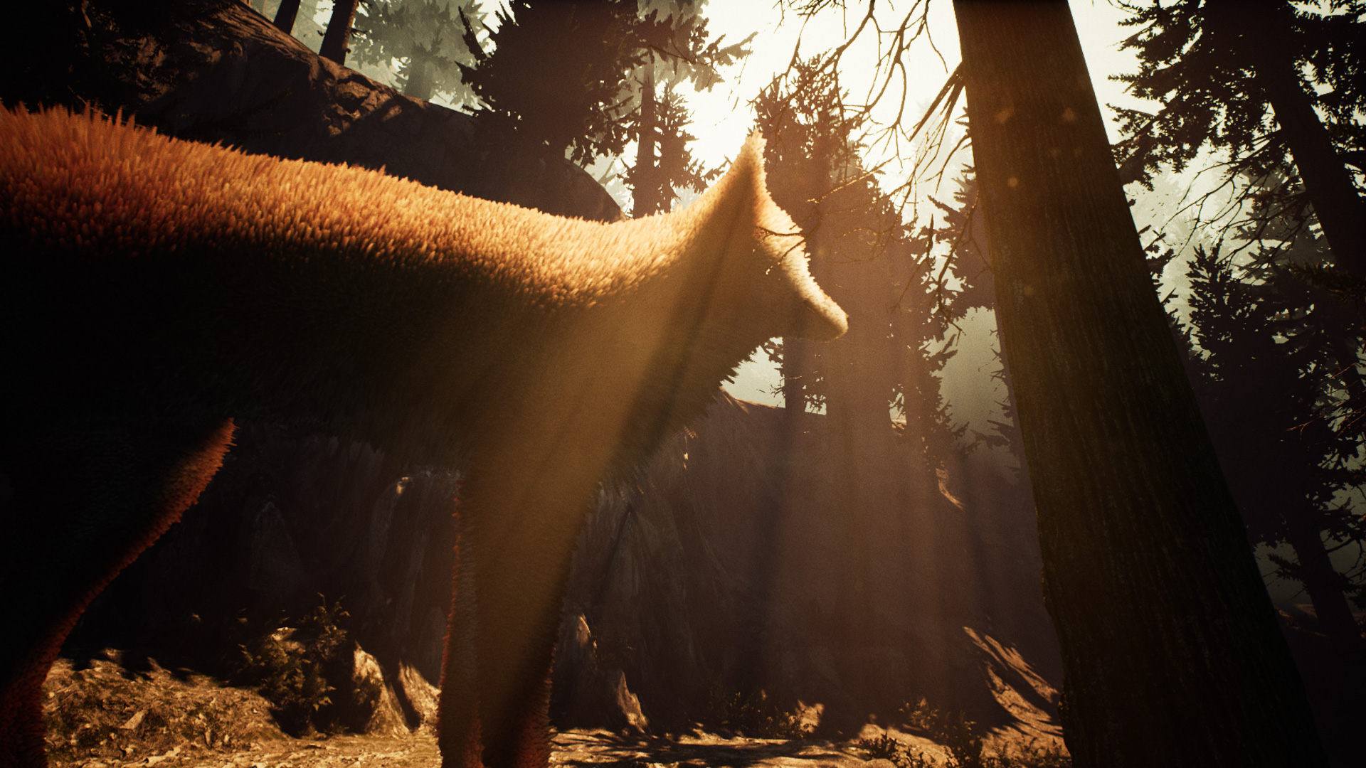 Nephise Begins游戏截图