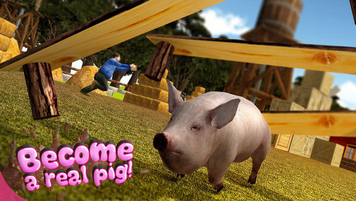 Pig Simulator 2015游戏截图