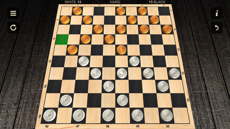 国际跳棋 - 两名球员游戏截图