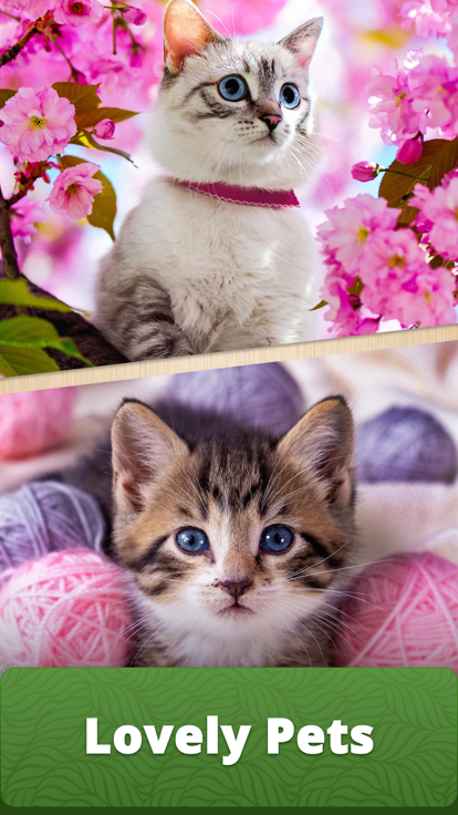 Vita Jigsaw for Seniors游戏截图