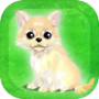 癒しの子犬育成ゲーム〜チワワ編〜icon