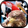 Bird Race 3Dicon