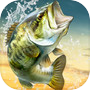 BIG FISH KINGicon