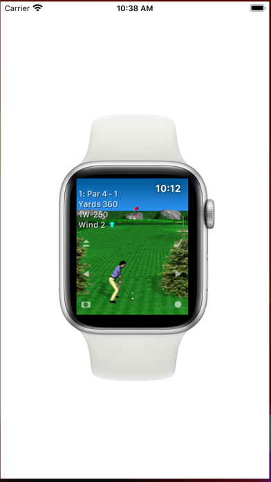 Par 72 Golf Watch Pro游戏截图