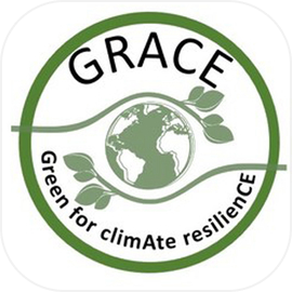 Grace GCR - TapTap