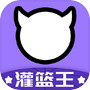 BUD灌篮王icon