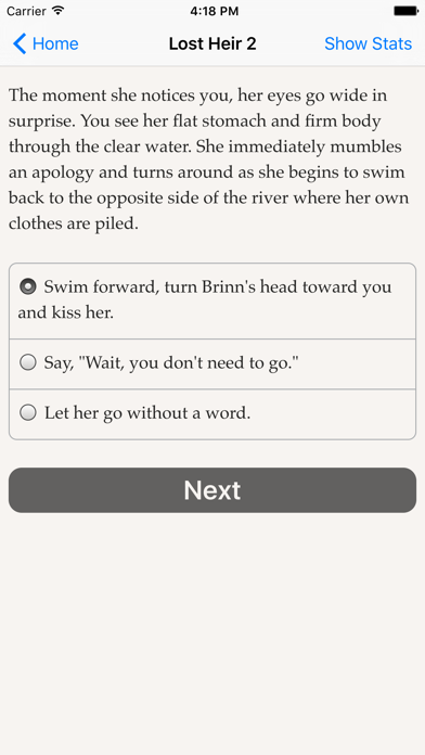 The Lost Heir 2游戏截图