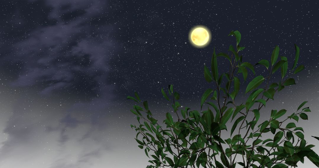 我穿越到灵界游戏截图