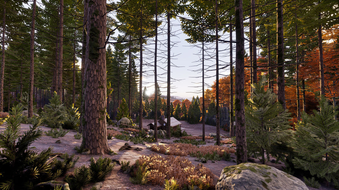 Prologue: Go Wayback!游戏截图