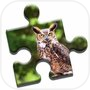 Owls of the World Puzzleicon
