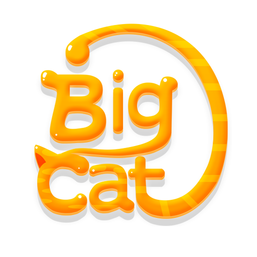 Big Cat Studio - we make brain games