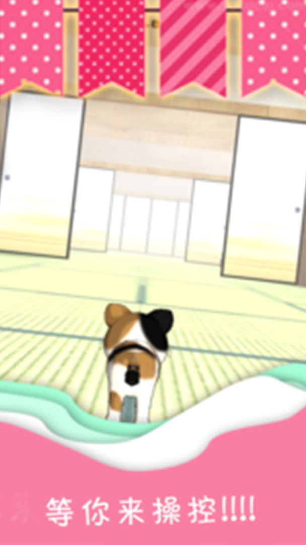 萌喵猫跑跑游戏截图