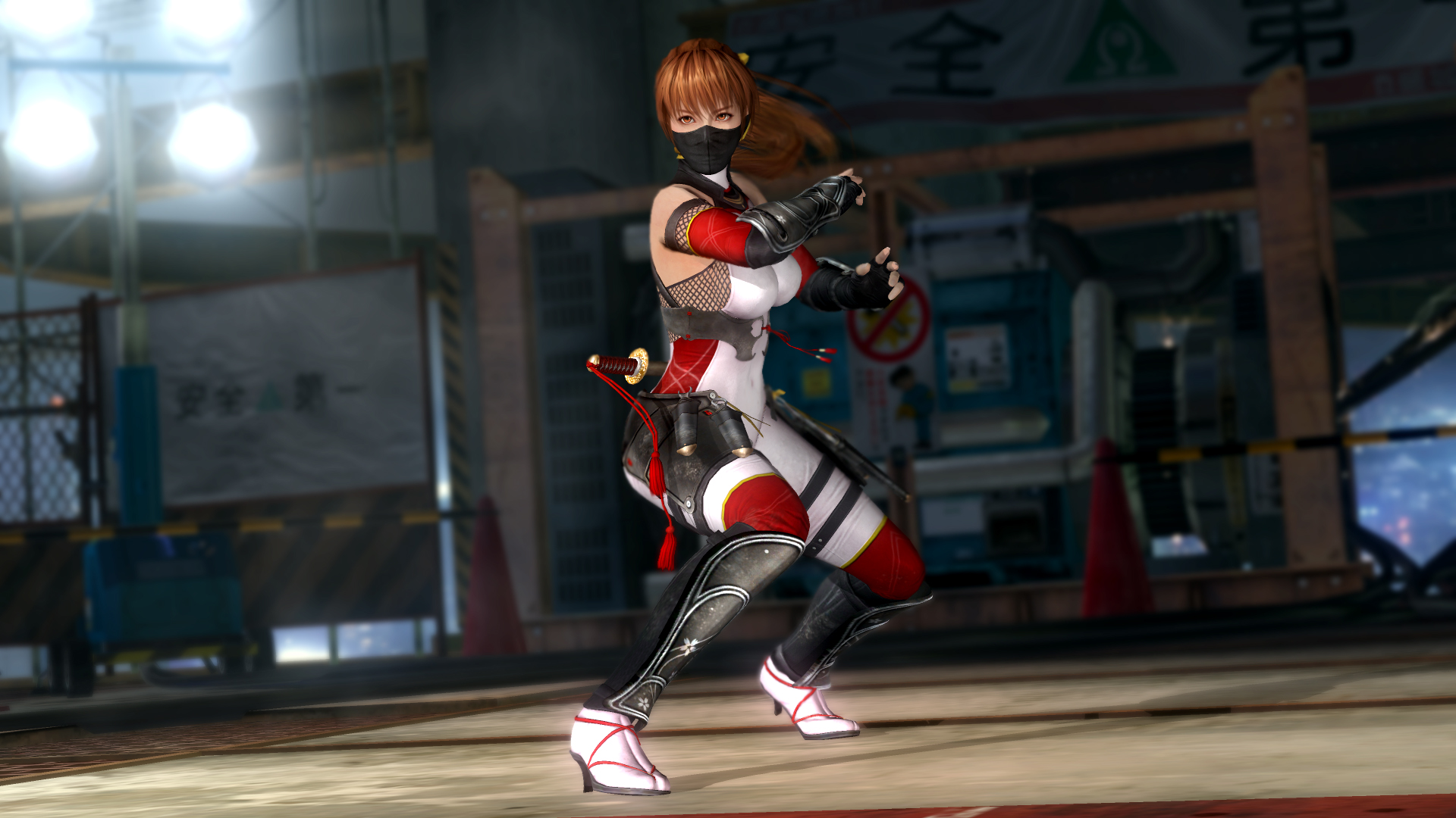 DEAD OR ALIVE 5 Last Round: Core Fighters游戏截图