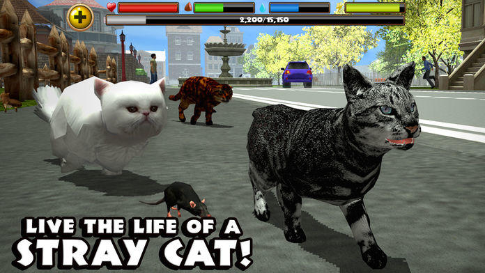Stray Cat Simulator游戏截图