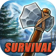 Survival Game Winter Island