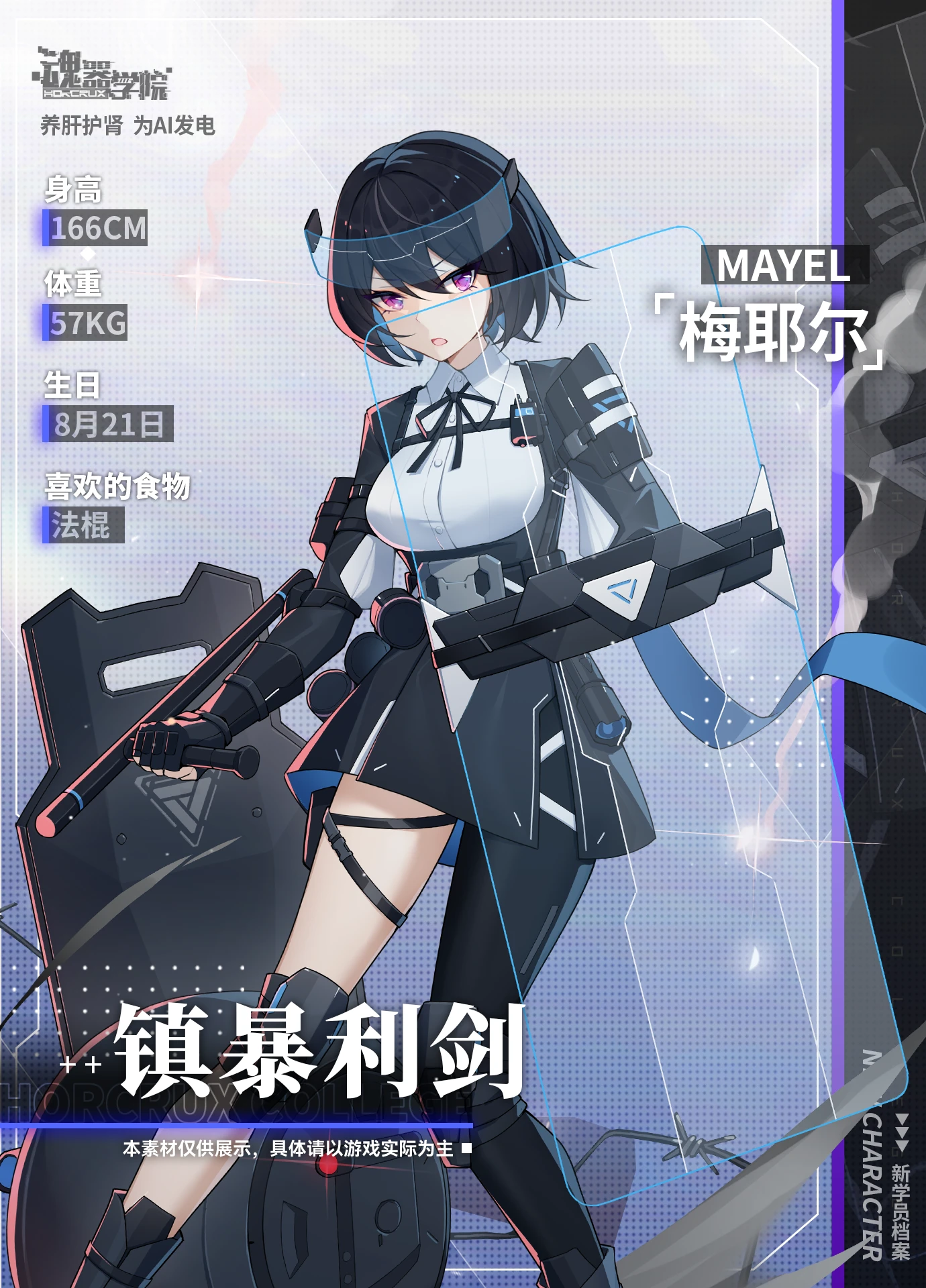 镇暴利剑-梅耶尔