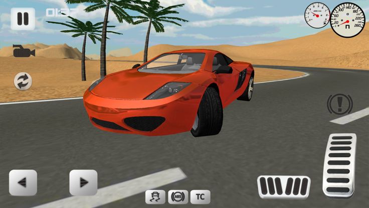 Sport Car Simulator 3D游戏截图