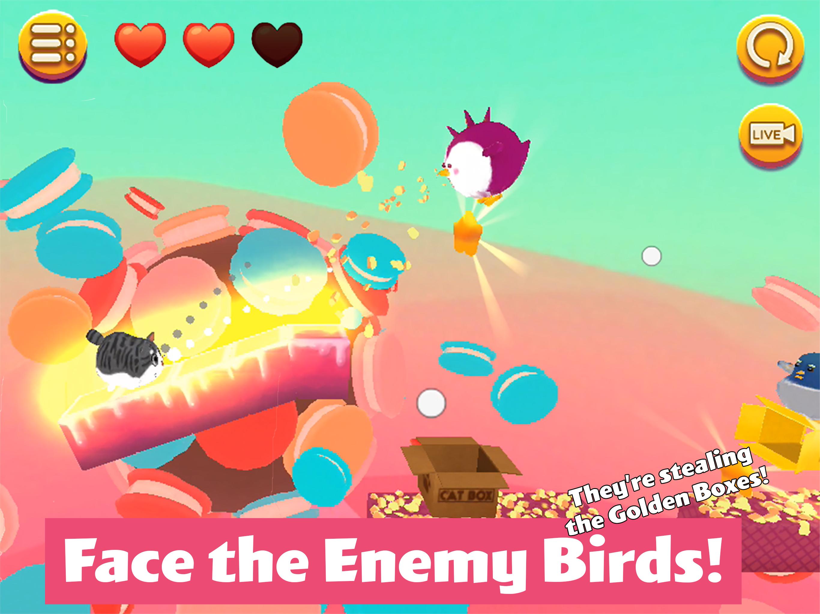 猫小盒2游戏截图