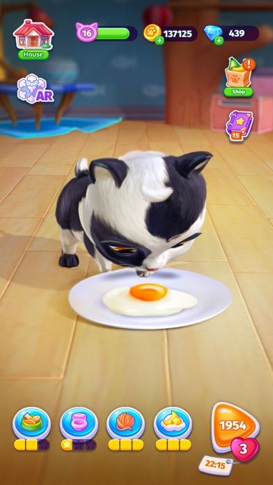 My Cat - 猫咪游戏 ⋆ 电子宠物游戏截图