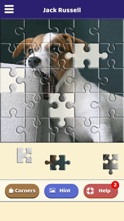 Jack Russell Puzzle游戏截图