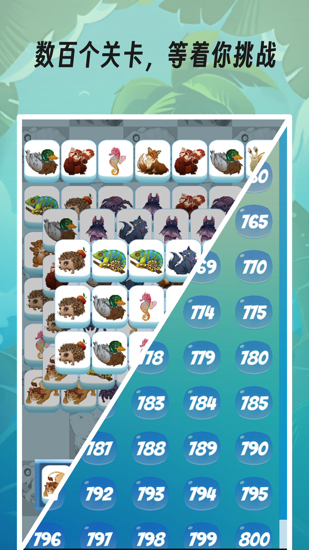 动物三消游戏截图