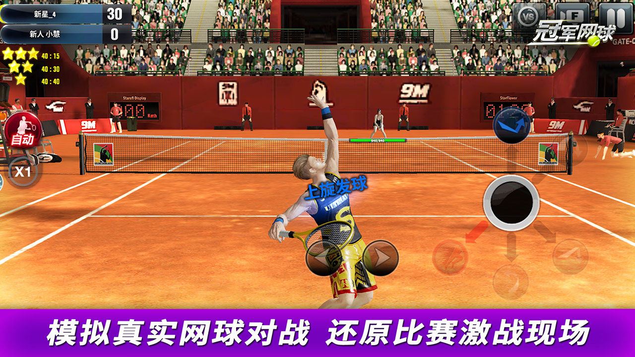 Screenshot of Tennis Master