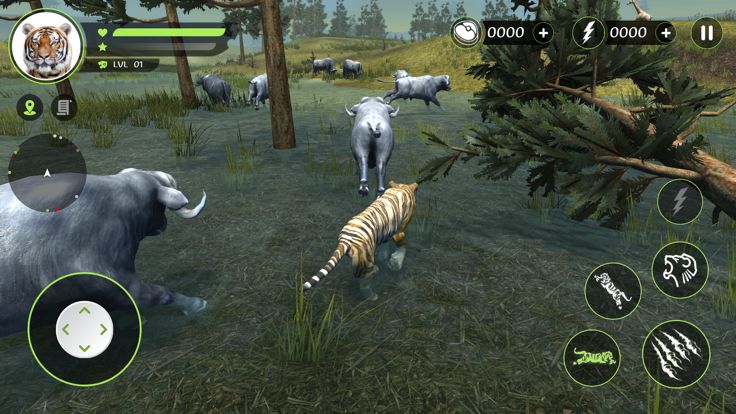 Wild Tiger Hunting Animal Life游戏截图