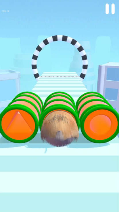 Fluffy Cat 3D游戏截图