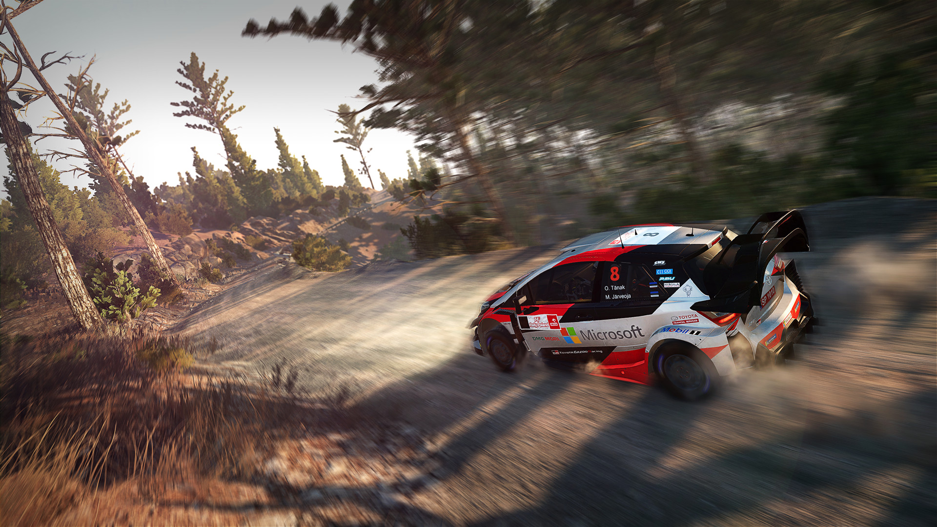 WRC 8 FIA World Rally Championship游戏截图