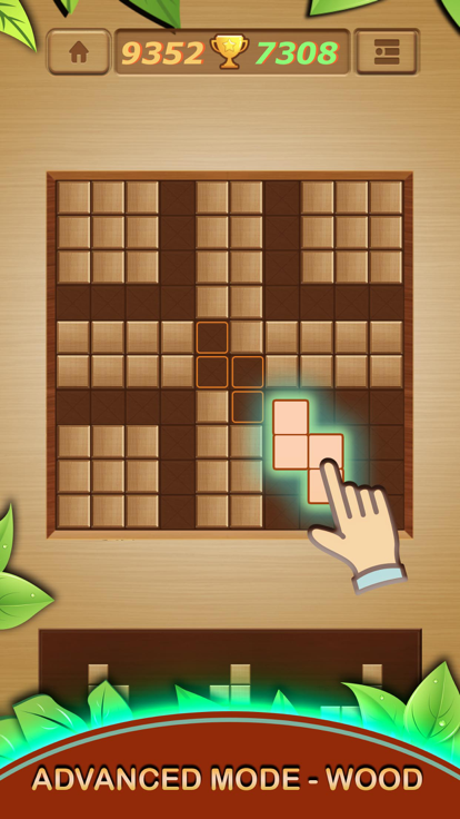 Wood Block Puzzle Teasers Box游戏截图