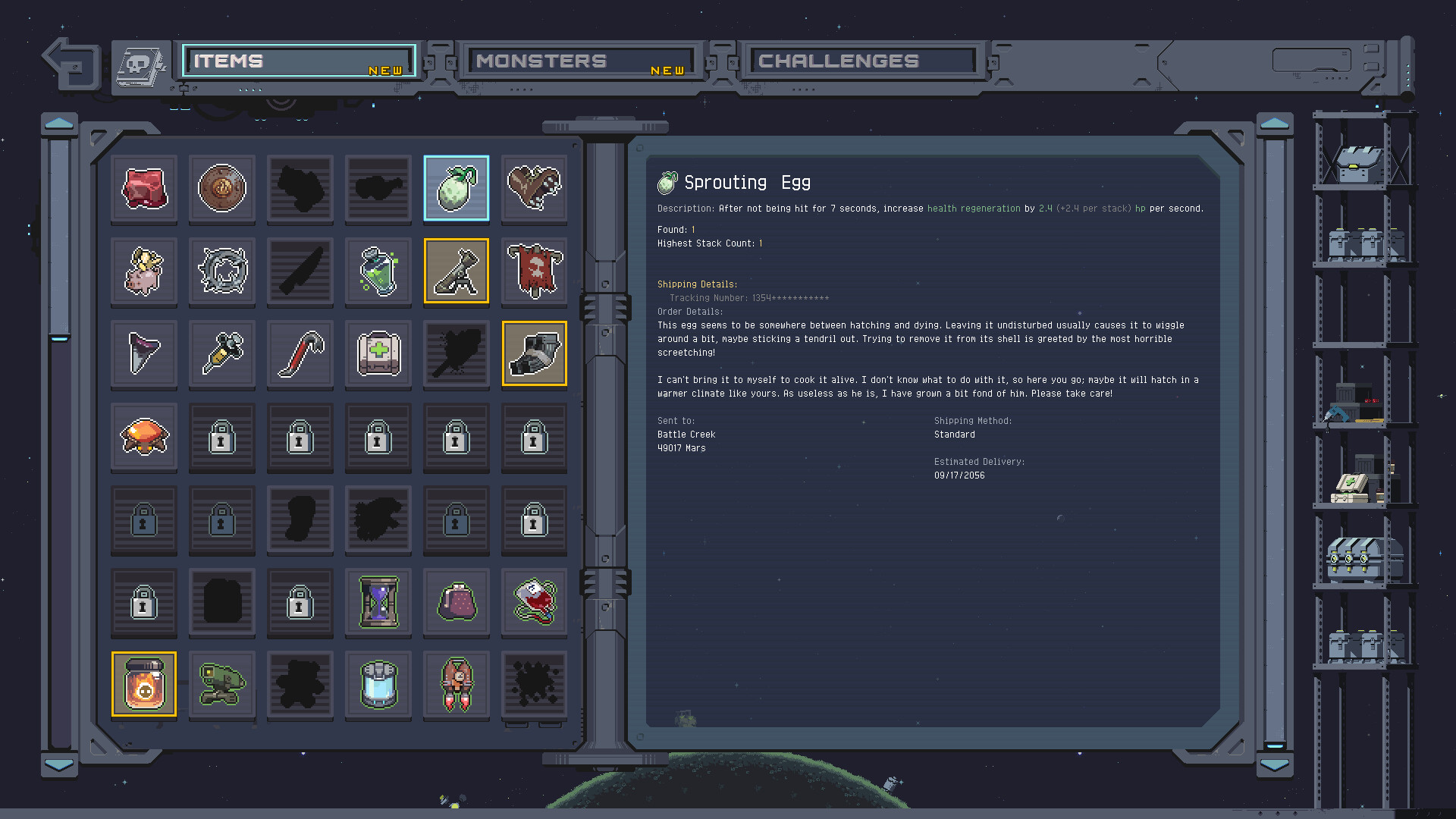 雨中冒险: 回归游戏截图