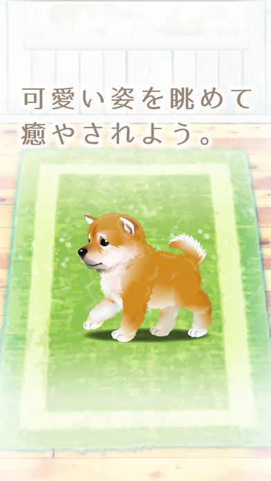 My Dog Life -Japanese Shiba Inu Edition-游戏截图