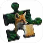 Curious Fox Puzzle