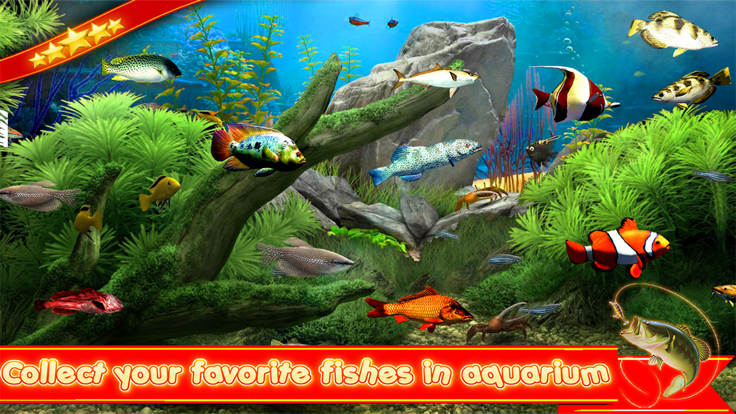Hook Hunter: Fishing Games 3D游戏截图
