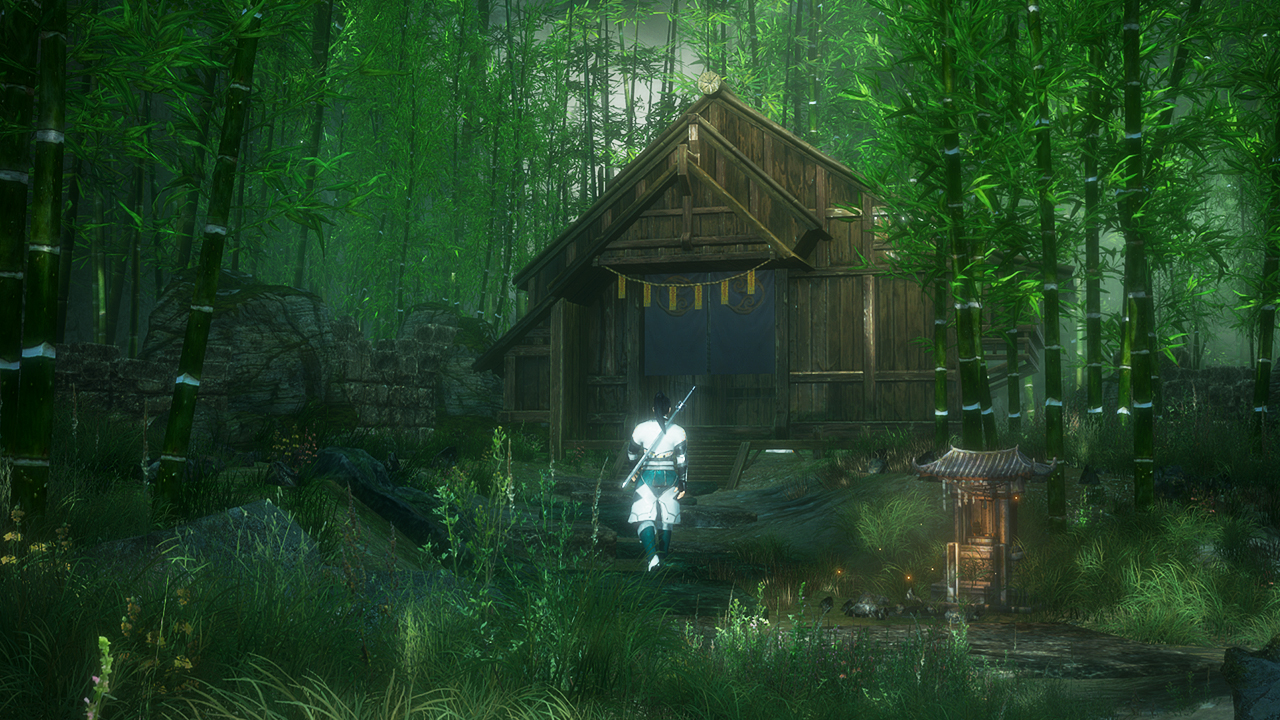 隐龙传：影踪游戏截图